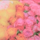 Surprise - 1